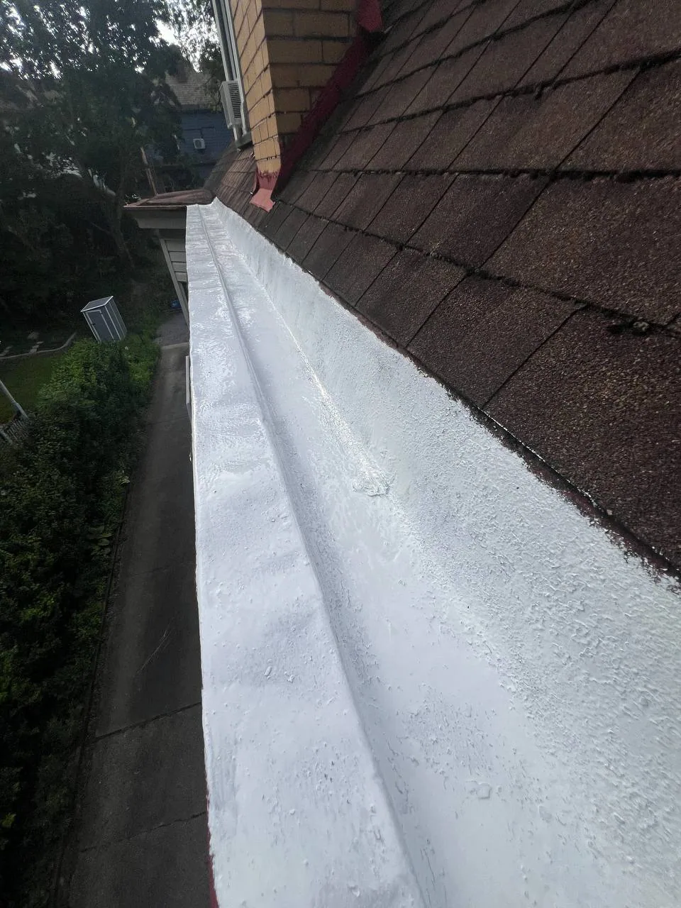 White-coated roof edge and gutter alongside brown shingles.