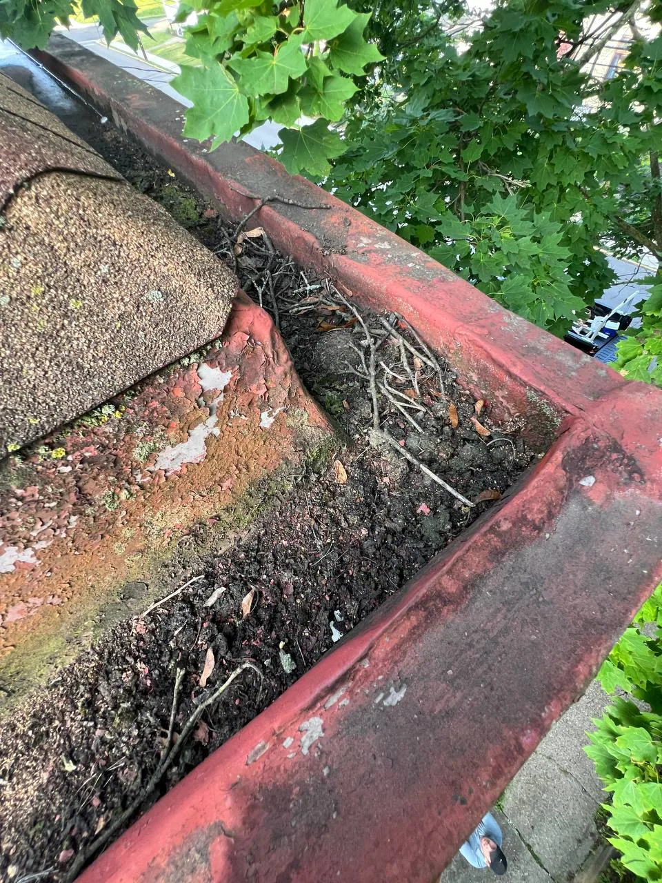 Gutter containing soil, twigs, and debris beside roof shingles.